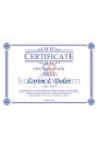 Certificate   Model 4