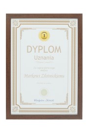 Certificate in  frame Model 1