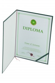 Dyplom w okładce Wzór 3